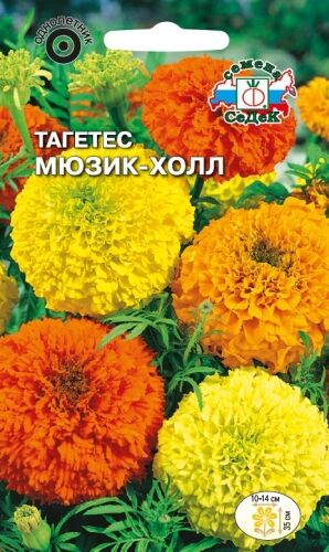 Тагетес Мюзик - Холл  прямостоячий смесь (Седек)