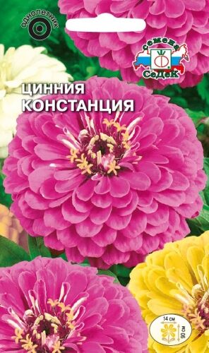 Цинния Констанция георгиновидная (Седек)