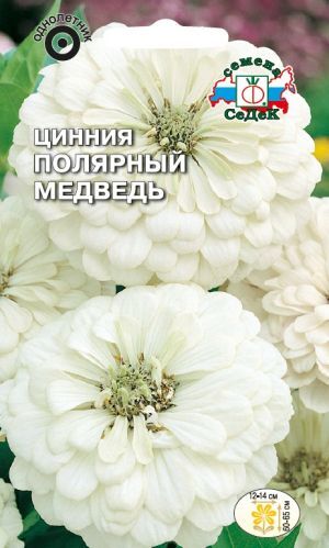Цинния Полярный медведь георгиновидная (Седек)