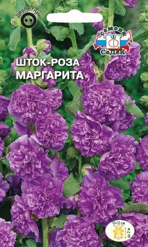 Шток- роза Маргарита (Седек)