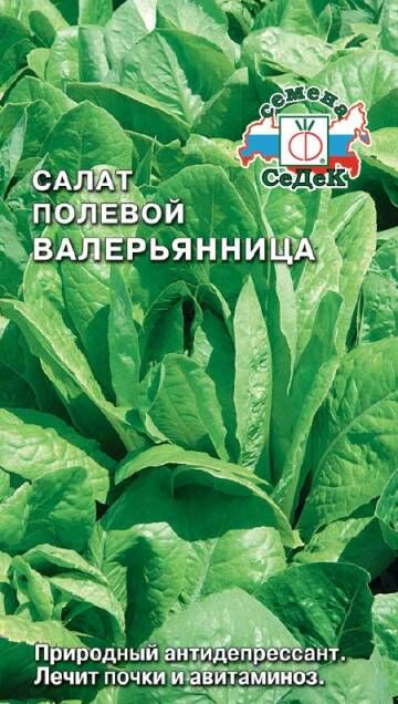Салат Валерьянница Огородная (полевой) (Седек)