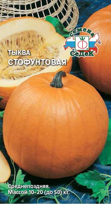 Тыква Стофунтовая (Седек)