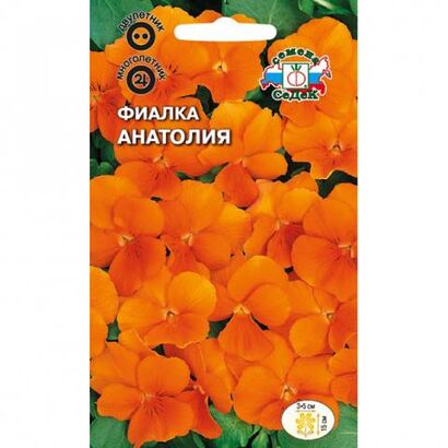 Фиалка Анатолия рогатая (Седек)