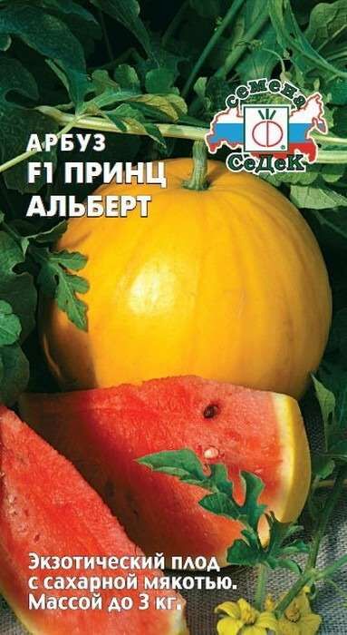 Арбуз Принц Альберт F1 (Седек)