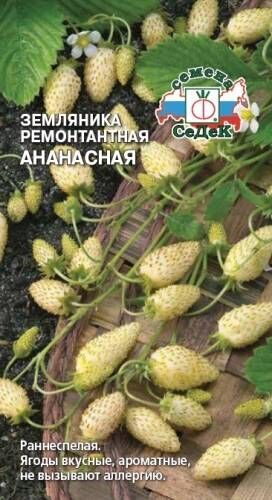 Земляника Ананасная  (Седек)