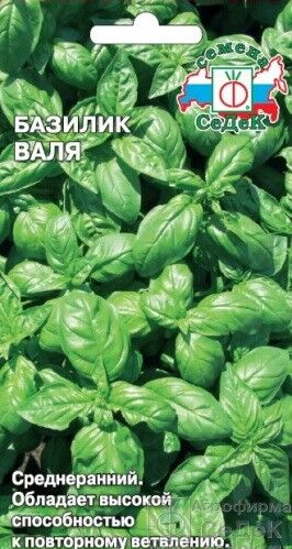 Базилик Валя (Седек)