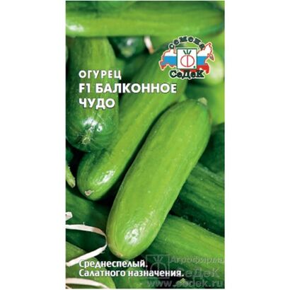 Огурец Балконное чудо F1(Седек)