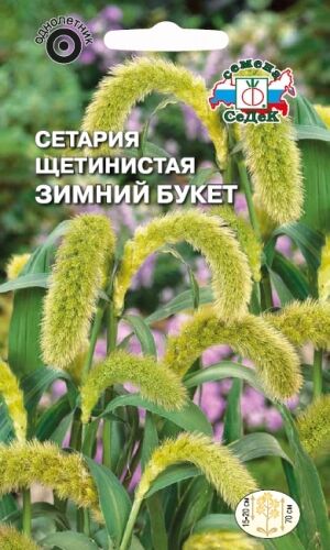 Сетария Зимний букет (Седек)