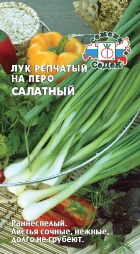 Лук репчатый на перо Салатный (Седек)