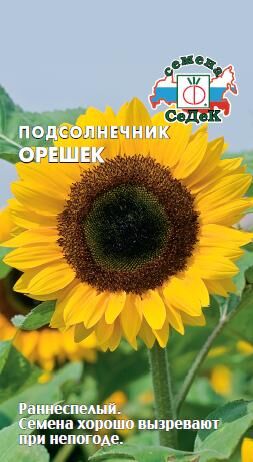 Подсолнечник Орешек (Седек)