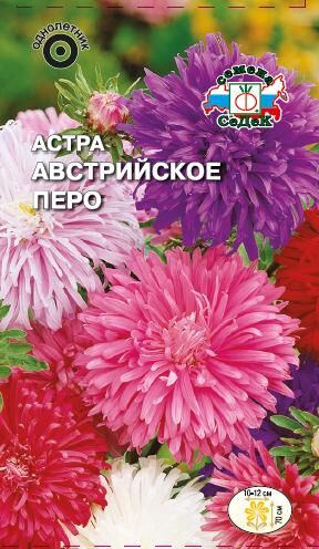 Астра Австрийское перо смесь (Седек)