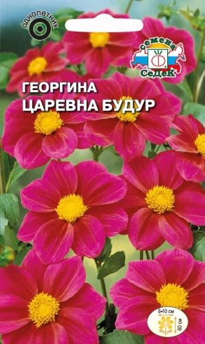 Георгина Царевна Будур (Седек)