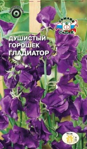 Душистый горошек Гладиатор (Седек)