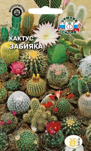 Кактус Забияка смесь (Седек)