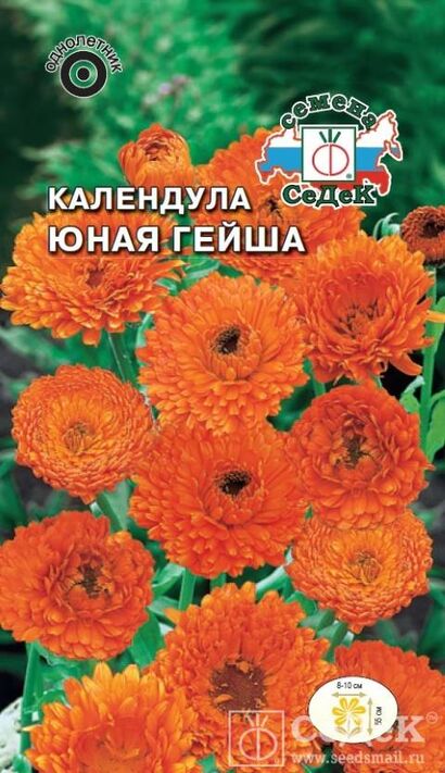 Календула Юная Гейша (Седек)