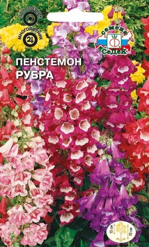 Пенстемон Рубра смесь (Седек)