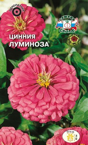 Цинния Луминоза георгиновидная (Седек)