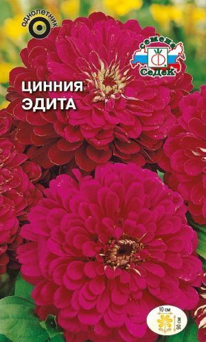 Цинния Эдита георгиновидная (Седек)