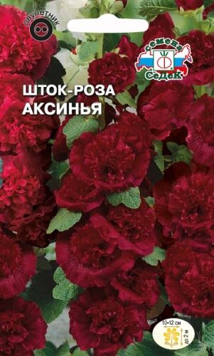 Шток - роза Аксинья (мальва) (Седек)