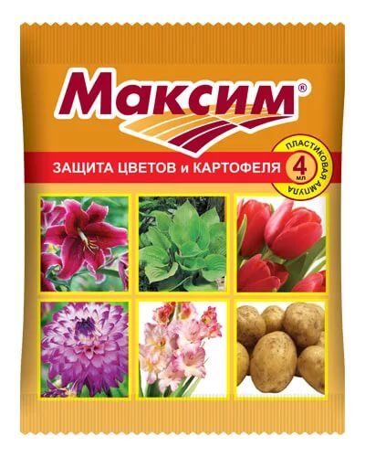 Максим Дачник  4мл