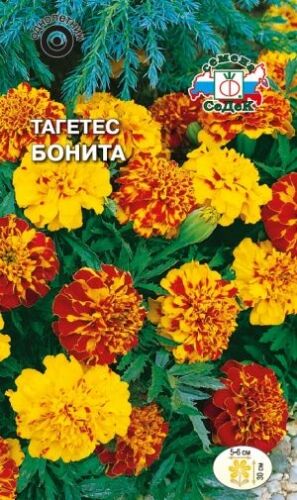 Тагетес Бонита отклонённый смесь (Седек)