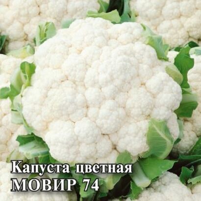 Капуста цветная Мовир-74 F1 (Сотка)