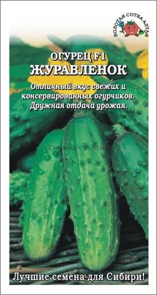 Огурец Журавлёнок F1 (Сотка) б/п