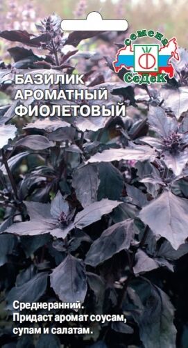 Базилик Ароматный Фиолетовый (Седек)