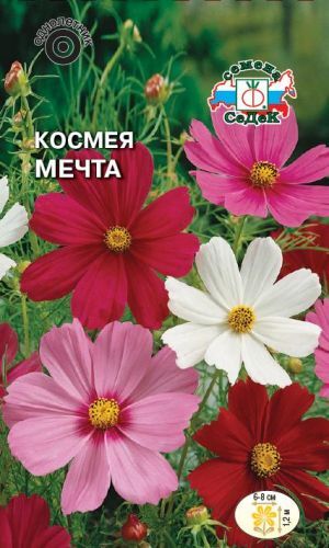 Космея Мечта дваждыперестая смесь (Седек)