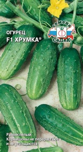 Огурец Хрумка F1 (Седек)