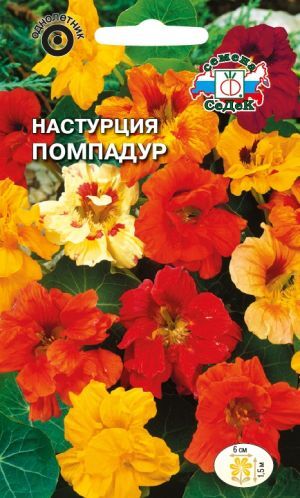 Настурция Помпадур вьющ. махр.(Седек)