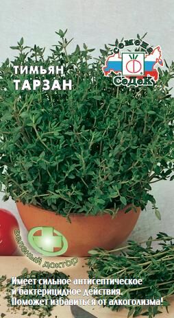 Тимьян (чабрец) Тарзан (Седек)