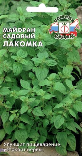 Майоран Лакомка садовый (Седек)