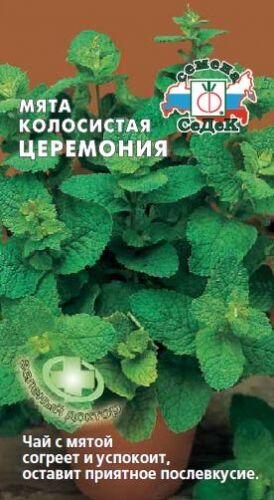 Мята Церемония колосистая (Седек)