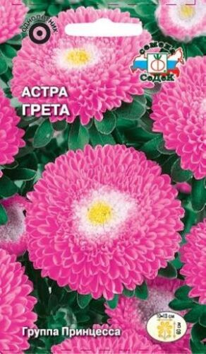 Астра Грета принцесса (Седек)