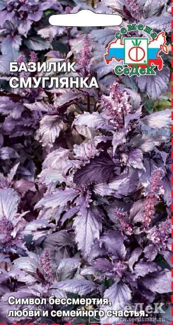 Базилик Смуглянка (Седек) б/п