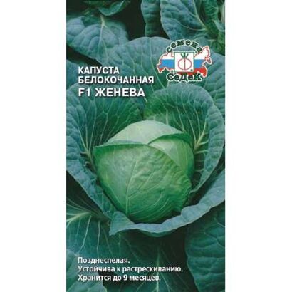 Капуста б/к Женева (Седек)