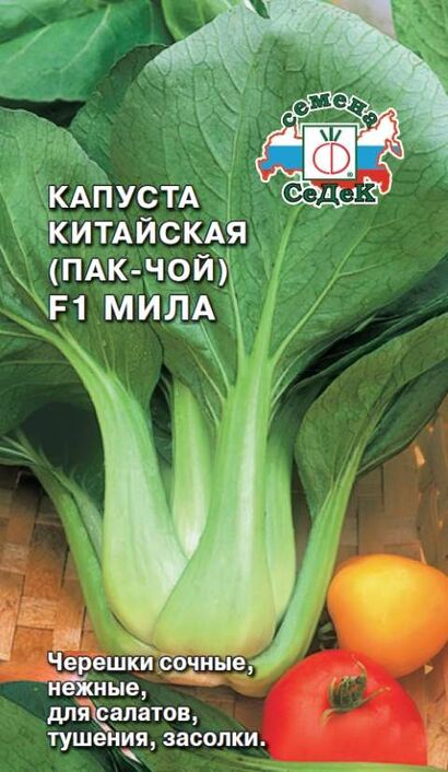 Капуста пак- чой Мила F1 (Седек)