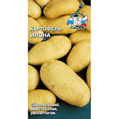 Картофель Илона (Седек)
