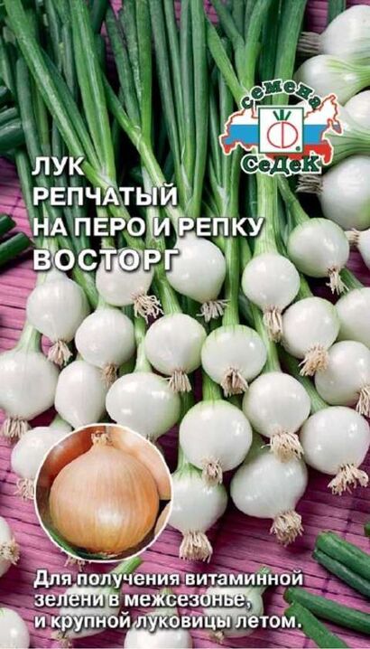 Лук репчатый Восторг на перо и репку (Седек)