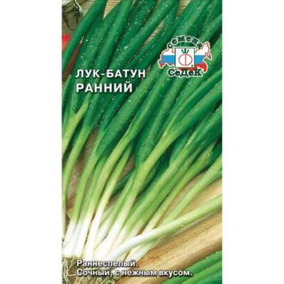 Лук батун Ранний (Седек)