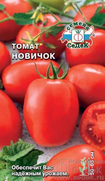 Томат Новичок (Седек)