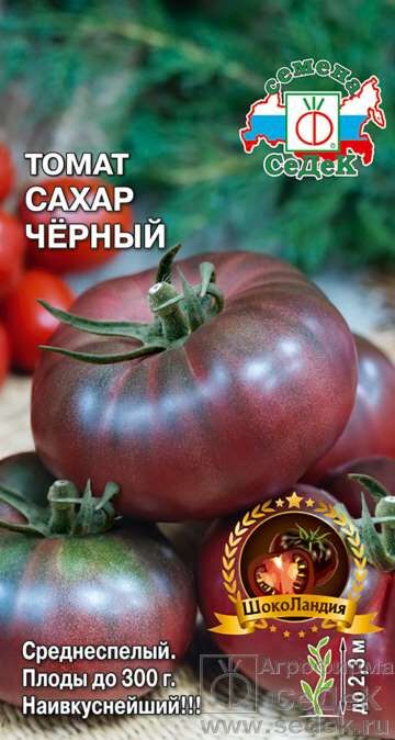 Томат Сахар чёрный (Седек)
