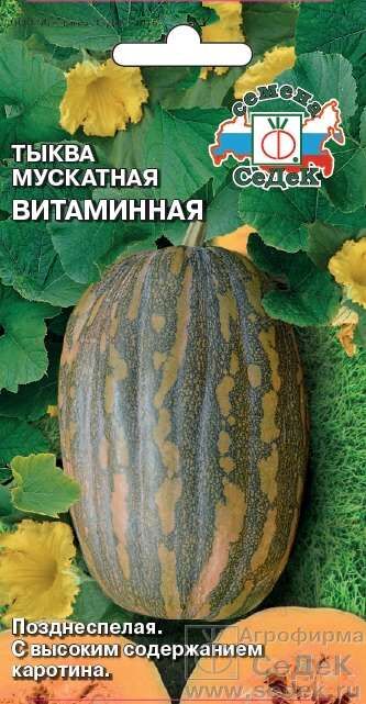 Тыква Витаминная мускатная (Седек)