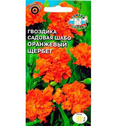 Гвоздика Оранжевый щербет шабо (Седек)