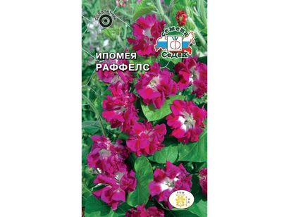 Ипомея Раффелс (Седек)