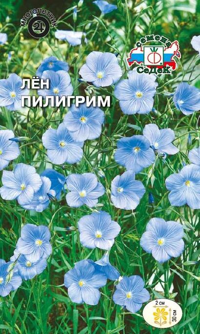 Лён Пилигрим (Седек)