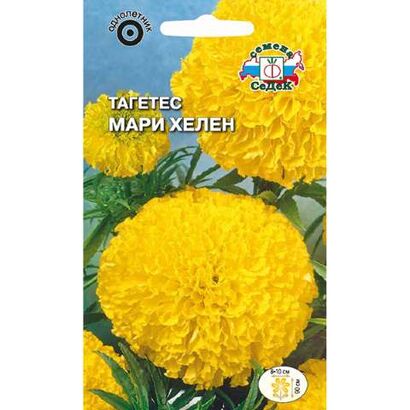 Тагетес Мари Хелен прямостоячий (Седек)