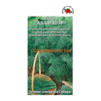 Укроп Аллигатор (Сотка) б/п
