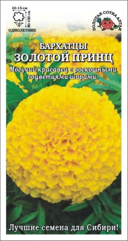 Бархатцы Золотой принц (Сотка) прям.